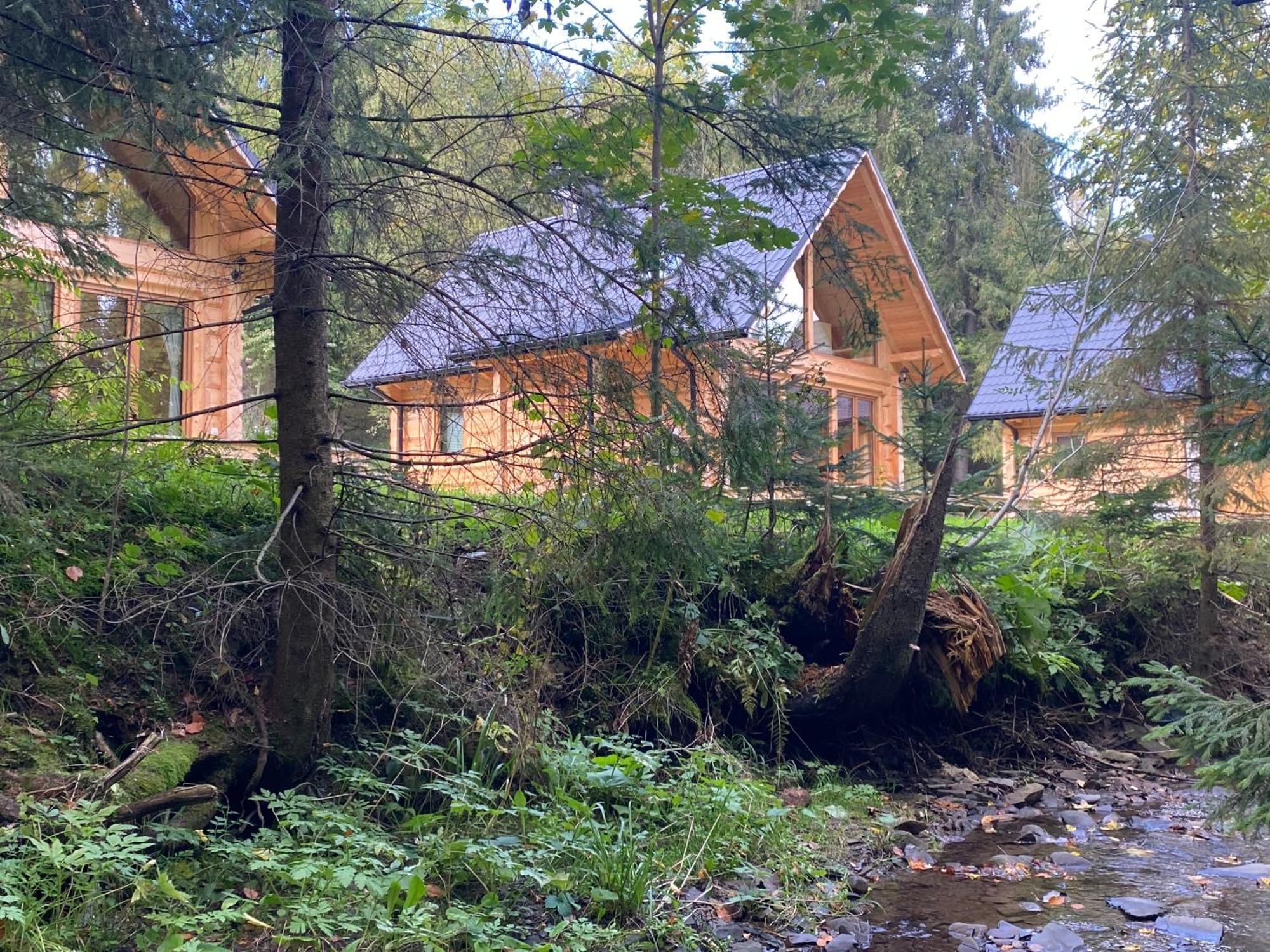 Domki I Pokoje Z Dostepem Do Spa Łapsze Niżne Zewnętrze zdjęcie